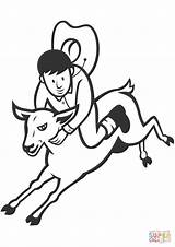 Coloring Pages Rodeo Sheep Junior Riding sketch template