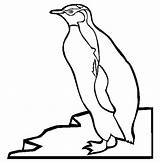 Penguin Getdrawings King Drawing Coloring sketch template