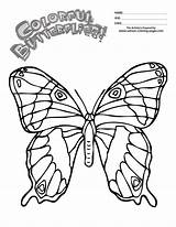 Butterfly Printouts Coloring Monarch Cartoon Cliparts Popular Library Clipart Coloringhome Clip sketch template