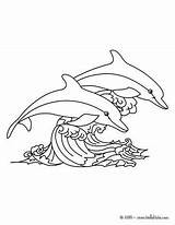 Lumba Mewarnai Colorear Gambar Dolphin Dauphins Delfines Halaman Hellokids Golfinhos Saltando Ikan Dolphins Dauphin Coloring Ausmalen Malvorlagen Vagues Sautant Dessus sketch template