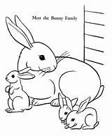 Coloring Bunny Flowers Rabbits Pages Popular sketch template