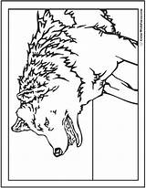 Wolf Coloring Pages Wild Dire Printable Colorwithfuzzy Template sketch template
