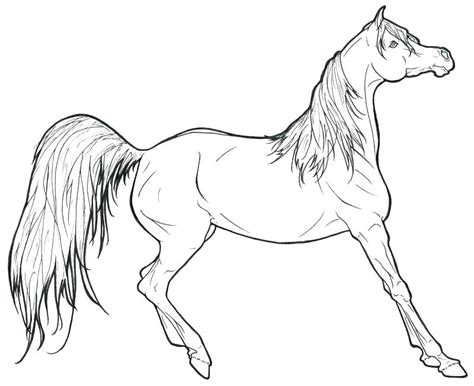running horse coloring page  getdrawings
