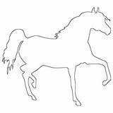 Horse Printable Spirited Outlines sketch template