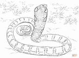 Cobra Coloring Pages King Anaconda Realistic Snakes Python Mamba Snake Printable Drawing Print Burmese Sketch Color Green Getdrawings Large Dot sketch template