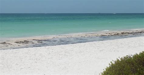 Florida Couple Convicted Of Beach Sex Face 15 Year Prison Terms