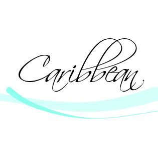 caribbean vimeo logo caribbean tech company logos