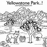 Coloring Yellowstone Park Pages National Printable Drawing Color Hilltop Getcolorings Getdrawings Template Print sketch template
