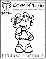 Senses Coloring Sense Preschool Taste Pages Smell Planningplaytime Para Kids Sentidos Los Ingles Five Activities Colorear Worksheets Pre Kindergarten School sketch template