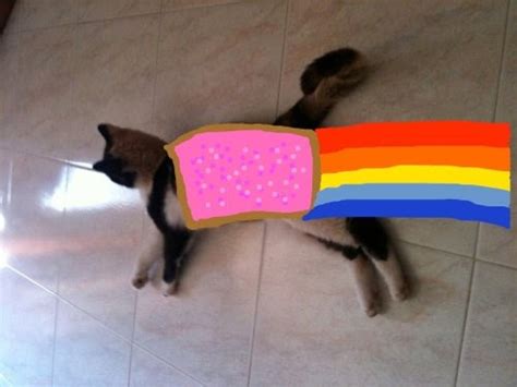 Cybergata For The Love Of Poptart Nyan Cat Fan Art