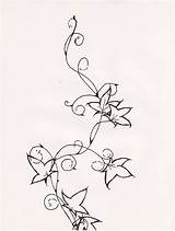 Tattoo Ivy Vine Designs Drawing Poison Tattoos Deviantart Drawings Top Plant Line Flower Hiedra Draw Stencil Vines Body Getdrawings Interfaces sketch template