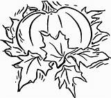 Coloring Pumpkin Pages Print Blank Kids Fall Halloween Large Printable Drawing Template Adults Pumpkins Sheets Patch Online Book Plant Color sketch template