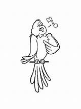 Coloring Canary Pages Bird Popular Coloringhome sketch template