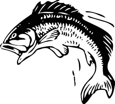 picture  bass fish coloring pages  place  color