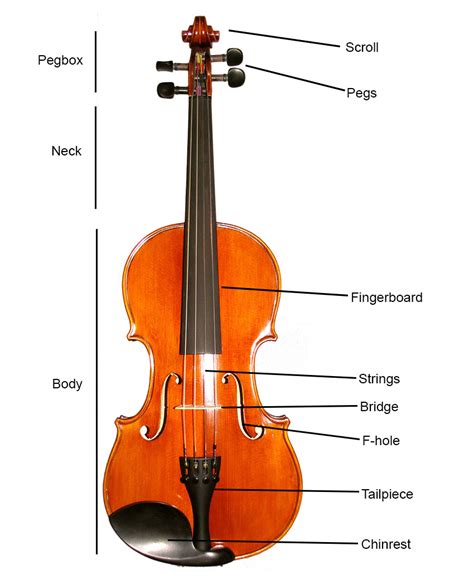 parts   cello diagram wiring diagram list