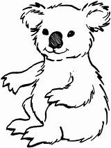 Koala Coloring Bear Pages Color Animals Bears Colouring Loving Baby Print Drawing Line Printable Clipart Kids Outline Colorings Craft Drawings sketch template
