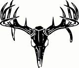 Deer Skull Clipart Clip Skulls Logos Antler Decals Silhouette Vector Whitetail Trucks Decal Drop Tine Drawings Hunting Tattoos Cliparts Csupload sketch template