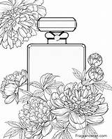 Fragrancenet sketch template
