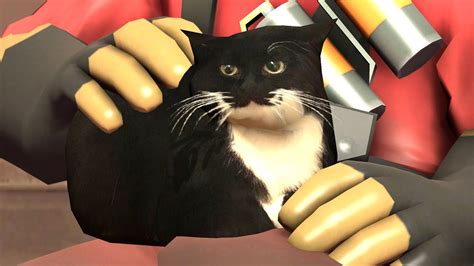 sfm tf pyro pets  cat youtube