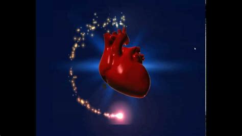 opening medical intro the heart 3d animation youtube