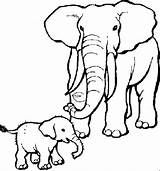 Mewarnai Binatang Gajah sketch template