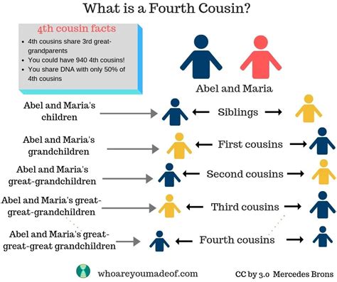 What Is A Fourth Cousin Who Are You Made Of