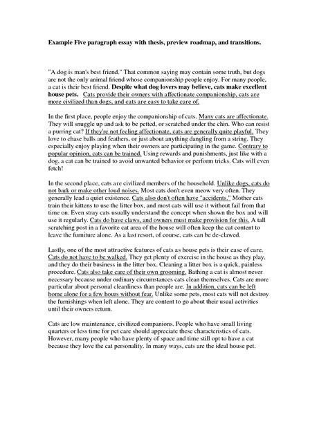 five paragraph essay example college writing a five paragraph essay 2019 02 20