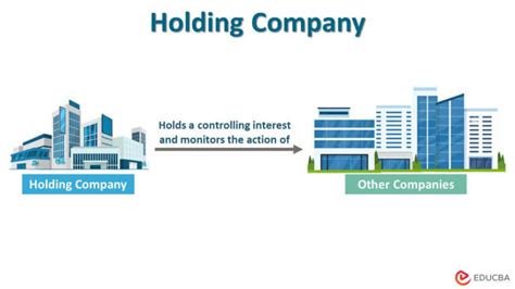 holding company features  types  holding company