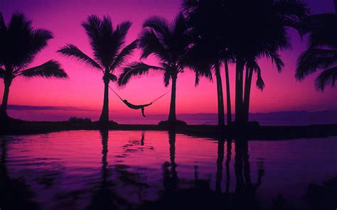 beach purple sunset wallpaper