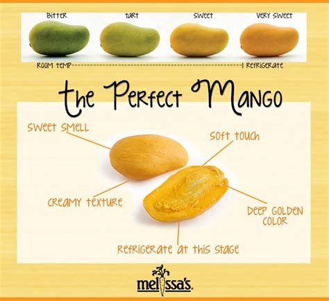 mangoes   varied colors   ripe  ranging  green