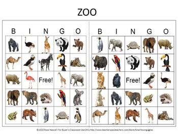 zoo bingo cards distance learning digital pre   special ed