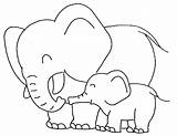 Elefante Mewarnai Gajah sketch template