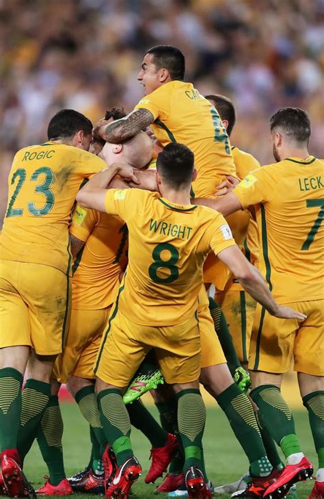 socceroos win same sex marriage result sends australia wild herald sun