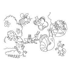 top   printable bug coloring pages  bug coloring pages