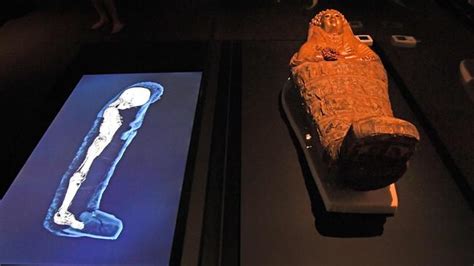 powerhouse museum s ‘egyptian mummies exhibition unlocks hidden