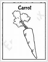 Carrot Worksheets Printable Activity Worksheet Coloring Kids Englishbix sketch template