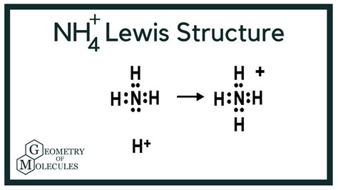 nh lewis structure ammonium ion   lewis math equations nh