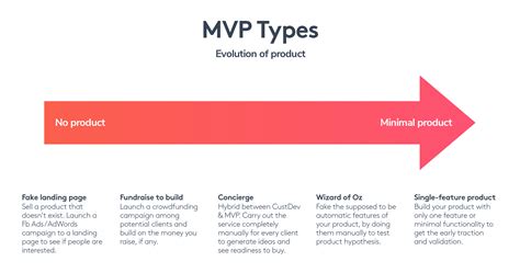 choose  mvp   startup  guide  mvp types molfario