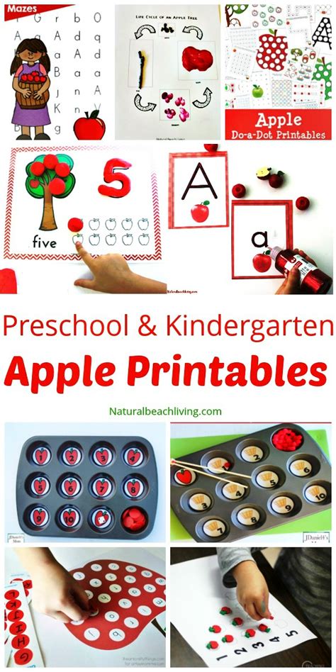 apple printables  preschool  kindergarten natural