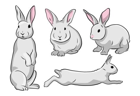 Cute Rabbit Illustration Set Vector Download