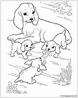 Puppies Dog Pages Her Mother Watching Coloring Puppy Play Color sketch template