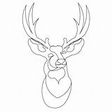 Deer Head Drawing Buck Sketch Line Draw Mule Reindeer Getdrawings sketch template