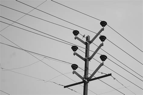 stock photo  black  white black  white cable wire