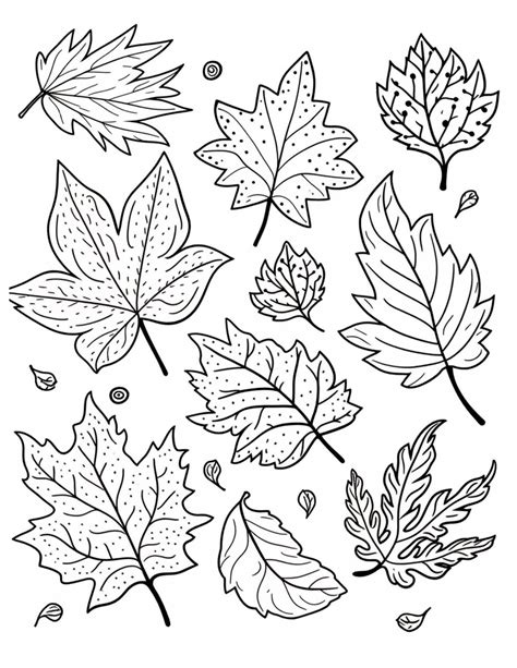 fall coloring pages   kids  adults  mindful life
