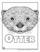 Coloring Otter Pages Kids Printables Crafts Letter sketch template