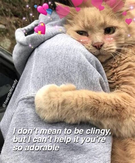 Alright Im Up Memes Wholesome