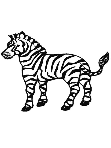 coloring page   zebra  printable zebra coloring pages  kids