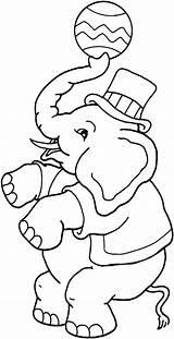 Elephant Circus Coloring Getcolorings sketch template