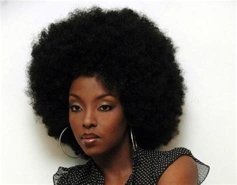 afro hairstyles beautiful hairstyles