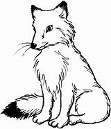 Fox Coloring Pages Printable Kids Cute Animal Drawing sketch template